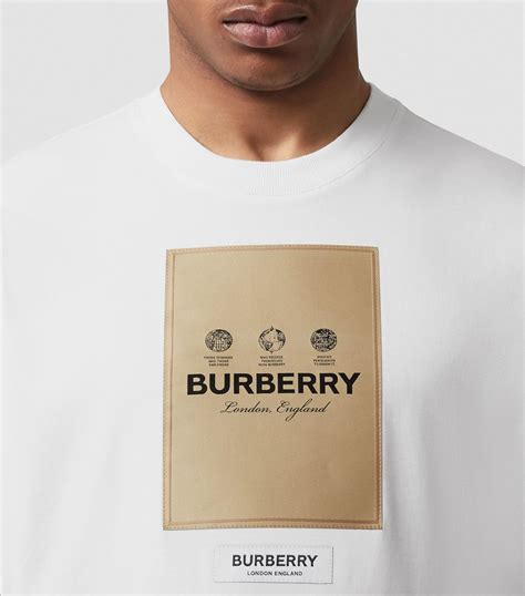 t shirt burberry logo|burberry oversized t shirt.